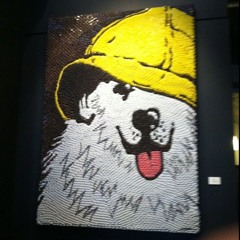 h264 flip comp #2k25