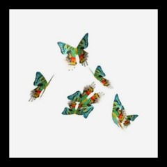 wel/lei - butterflies and flowers dont last (prod. lei)