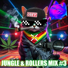 RAGGA JUNGLE / JUMP UP ROLLERS DNB MIX 2024 #3