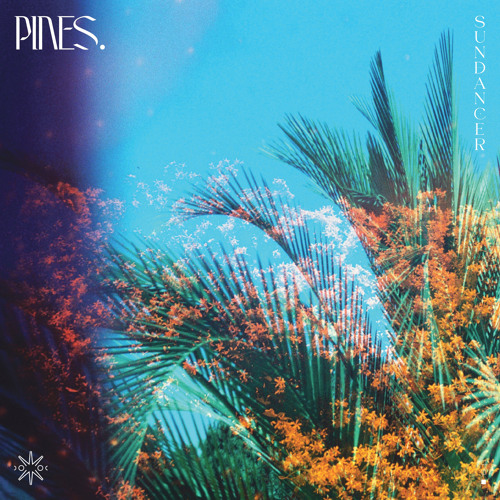 Everything You Ever Wanted