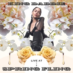 Daddie Live @ Spring Fling