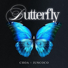 butterfly Speed up