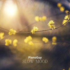 Slow Mood