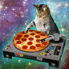 Pizza-Cat