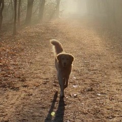 JJO - stop the time, we are moving too slow