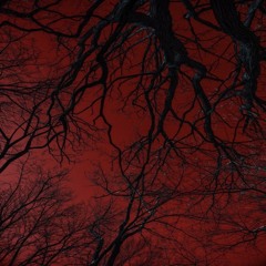 Get Like This (Prod.Wealthiboi.)