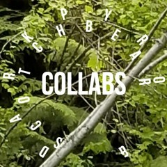 darkpyro & Scotchbear Collaborations