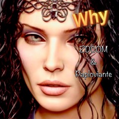 WHY- Ft Paul Paploviante & ZDCOM