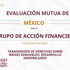 Taller virtual Evaluación Mutua de México ante el GAFI