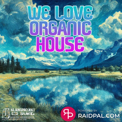 RayHill @ We love Organic House #2