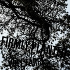 Firmly Planted