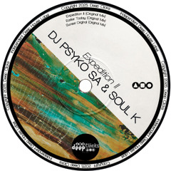 DJ Psyko S.A, Soul K - Earlier Today [Deep Clicks]