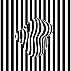 BoomBaTrap -(Prod.FefoX)