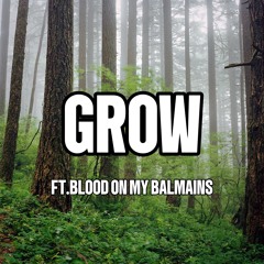 GROW V2+bloodonmybalmains prod.ivory (lyrics in bio)