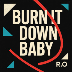 Roi Omer - Burn it Down Baby