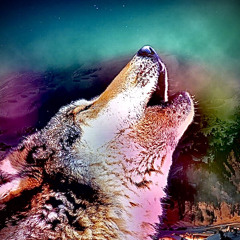 howlingatthemoon.m4a