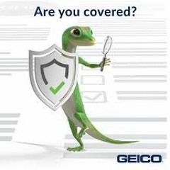 Random Thoughts Part 3 (Lil Commie, castro xx, DukeDummyThick, Average Philosophy Enjoyer, $lim Jim)