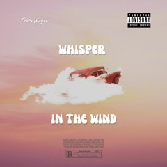 Whisper In The Wind