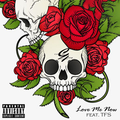 Love Me Now feat TFS