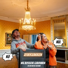Zeverzakken #06 Bossche Gebouwen (en een beetje cultuur)