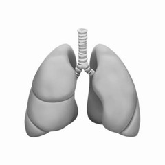 antwon flow(prod.4umla)