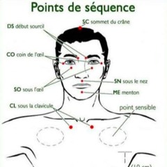 Conférence EFT a l'usage des professionels 11/06/2024