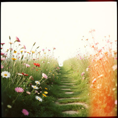비밀 정원 (Secret Garden)