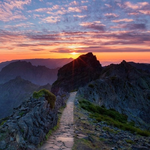 A New Pathway Discovered
