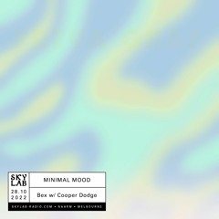 Minimal Mood ep.4 w/ Cooper Dodge - Skylab Radio
