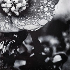 A journey. %3A._%3A.mp3