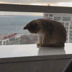 not enough (ft. she left me today)