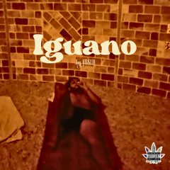 Iguano [Prod. Ryderoncrack]