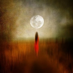 The Moon's Song Cover Olivia Fern