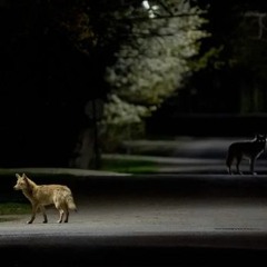 Every time you think, you are avoiding death