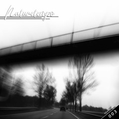 NatureTempo Podcast 003 - Shankari