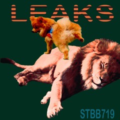 STBB719 - LEAKS (B-Dog Groupie)