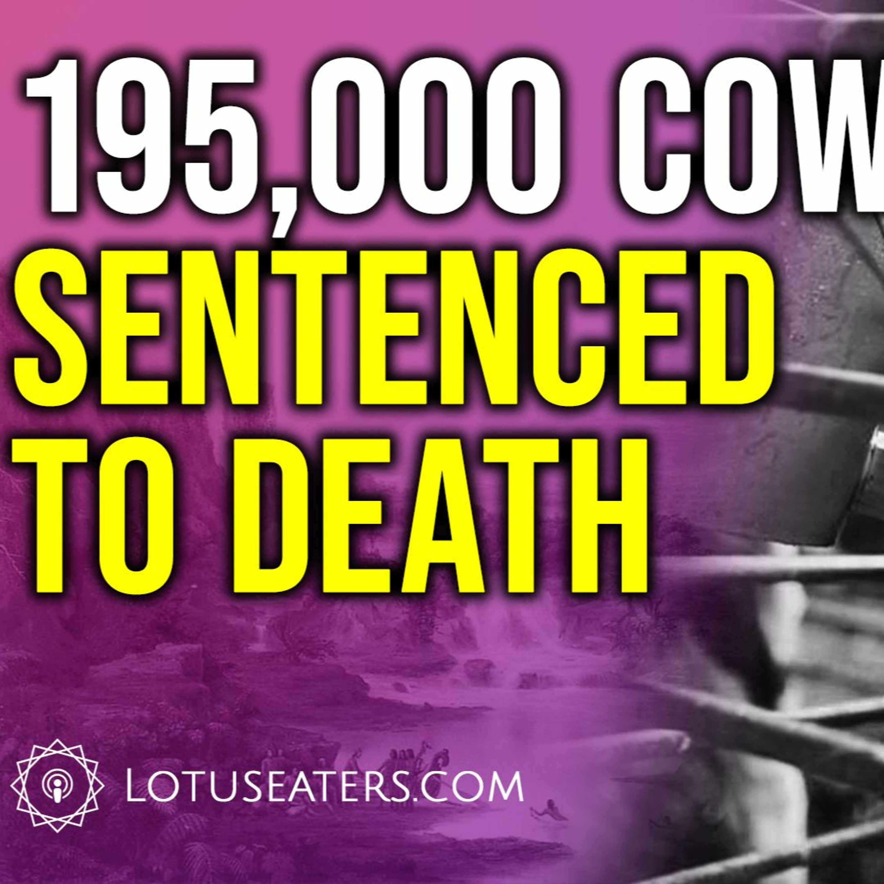 Ireland’s Cow Genocide