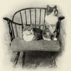 S08 E01 | Undomesticated: Nonhuman Animals and Queer Resistance in Mary Eleanor Wilkins Freeman