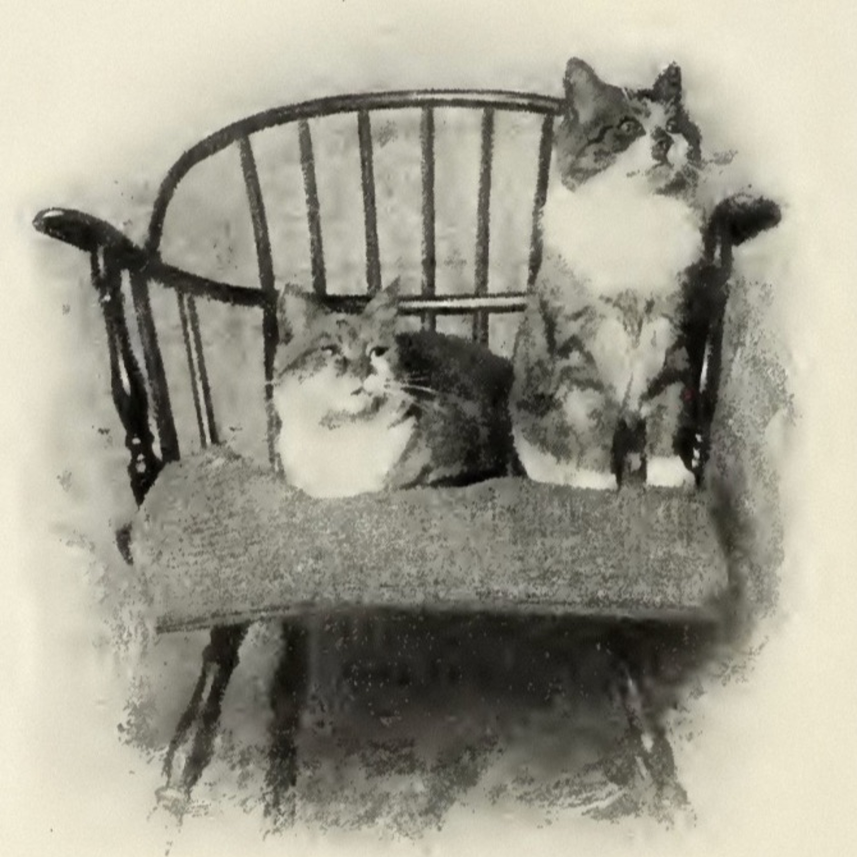 C19: America in the 19th Century