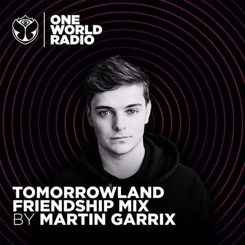 Tomorrowland Friendship Mix - Martin Garrix