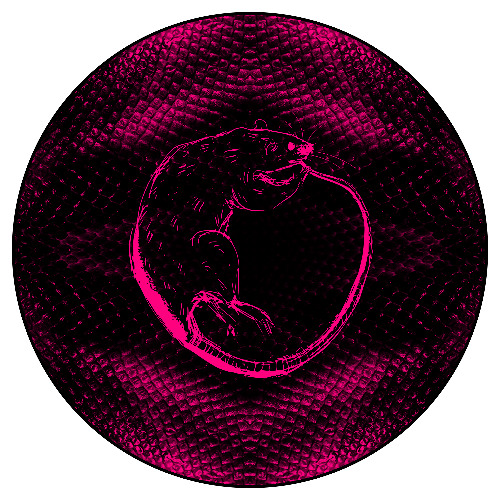 Ouroboros [FREE DL]