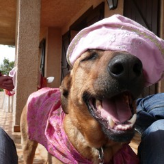 Superstition 2025 master