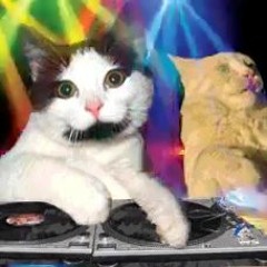 ValveGod & Sinister Source - Party Animal (Teaser)