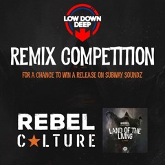 Rebel Culture - Land Of The Living (Lundy Remix)