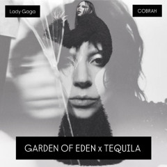 Garden of Tequila (Lady Gaga & COBRAH Mashup)