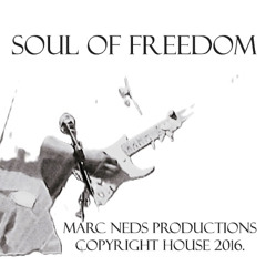 SOUL OF FREEDOM