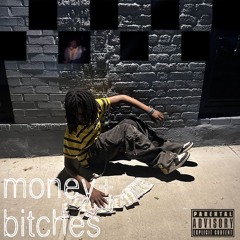 money and bitches p. akio