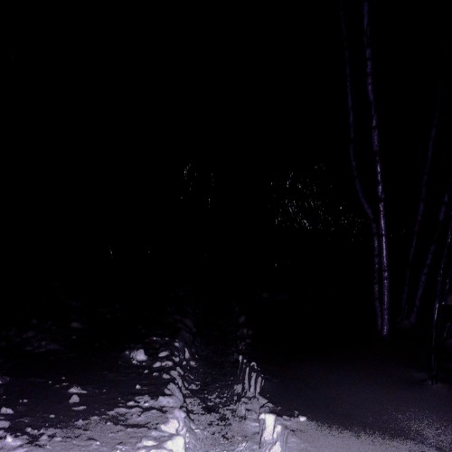 PVTRIFY - RAVAGE