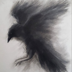 lumoie - major payne p.licutta