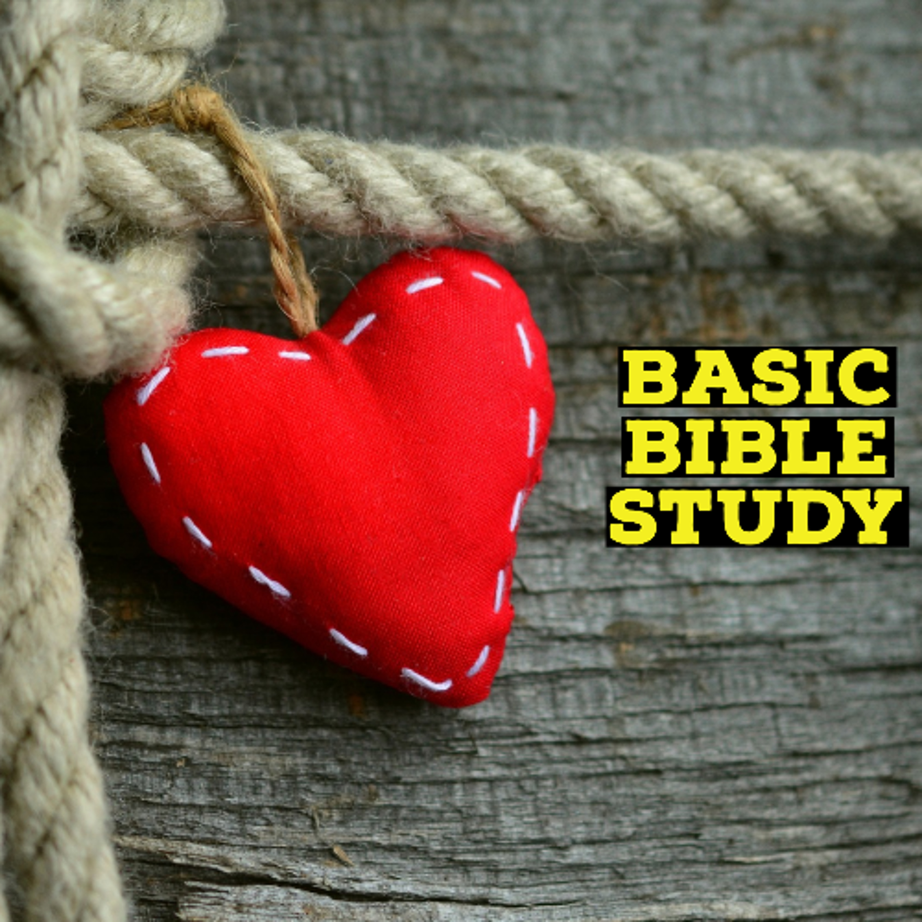 Basic Bible Study